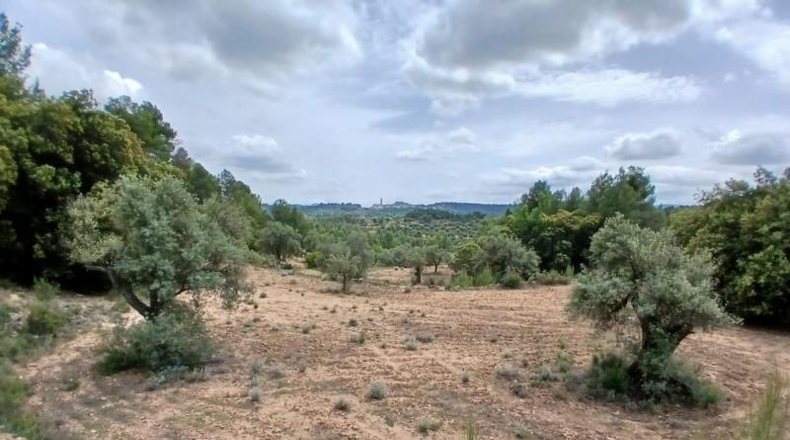 Teruel - Fórnoles - 74694m2