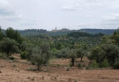 Detached villa with land for sale on España, Fórnoles, ref: TR412028 photo