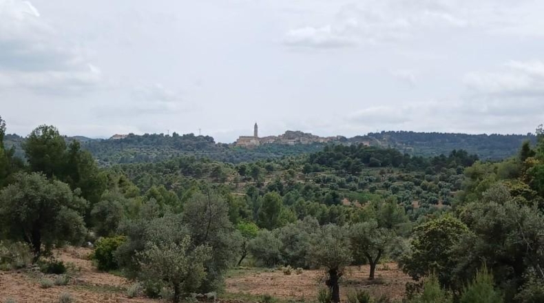 Teruel - Fórnoles - 74694m2