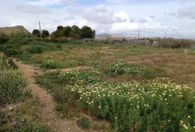 Elche 4246&nbsp;m²