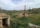 Non-developable land for sale on España, Elche, ref: TR412035 photo
