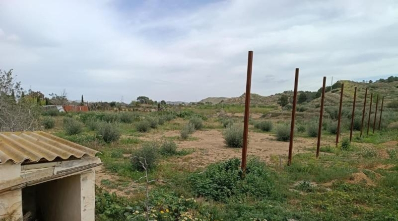 Alicante - Elche - 4246m2