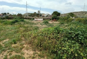 Elche 4246&nbsp;m²