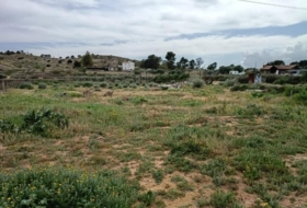 Elche 4246&nbsp;m²