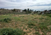 Non-developable land for sale on España, Elche, ref: TR412035 photo