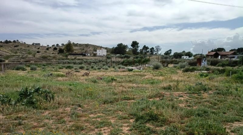 Alicante - Elche - 4246m2