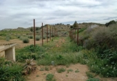 Non-developable land for sale on España, Elche, ref: TR412035 photo