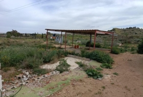 Elche 4246&nbsp;m²
