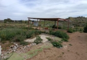 Non-developable land for sale on España, Elche, ref: TR412035 photo