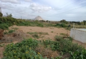 Non-developable land for sale on España, Elche, ref: TR412035 photo