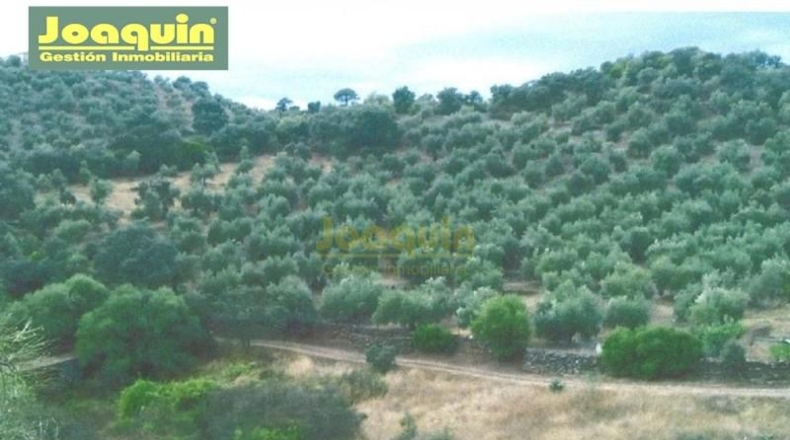 Córdoba - Montoro - 13272m2