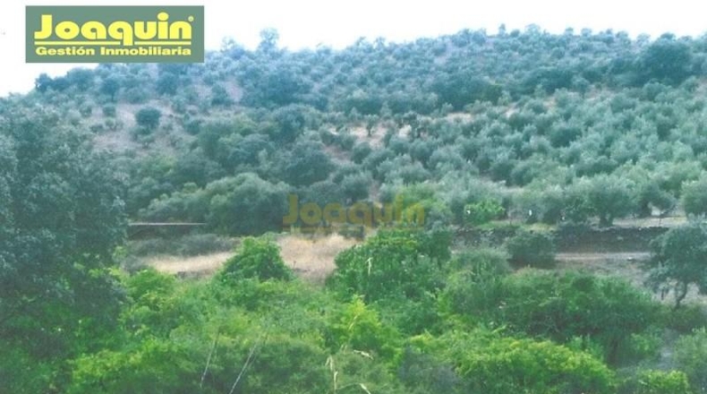 Córdoba - Montoro - 13272m2