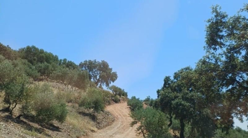 Córdoba - Montoro - 13272m2