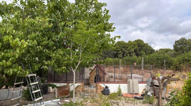 Múrcia - Molina de Segura - 1012m2