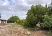 Country house with land for sale on España, Molina de Segura, ref: TR412041 photo