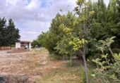 Country house with land for sale on España, Molina de Segura, ref: TR412041 photo