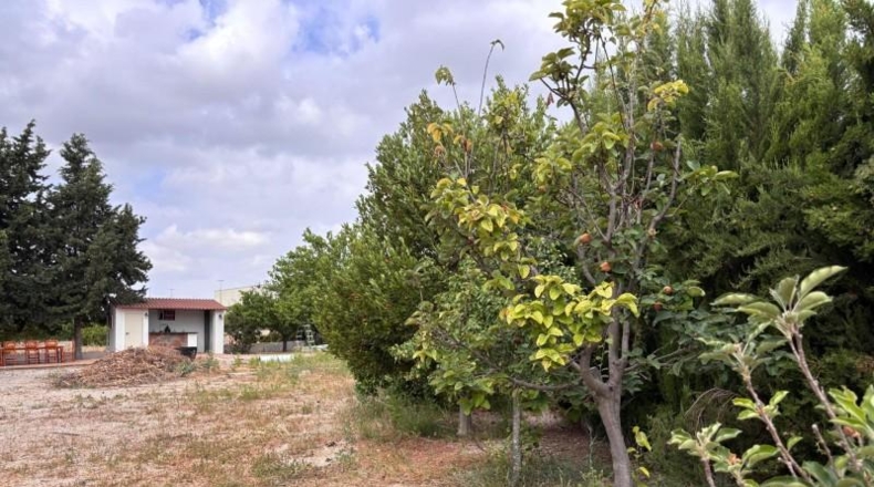 Múrcia - Molina de Segura - 1012m2