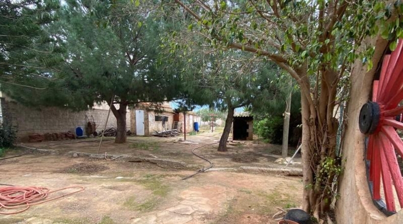Múrcia - Cartagena - 1668m2