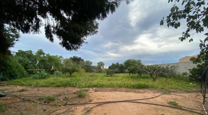 Múrcia - Cartagena - 1668m2