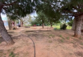 Non-developable land for sale on España, Cartagena, ref: TR412057 photo