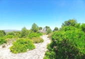 Sòl urbà en venda a la España, Alberic, ref.: TR412049 foto