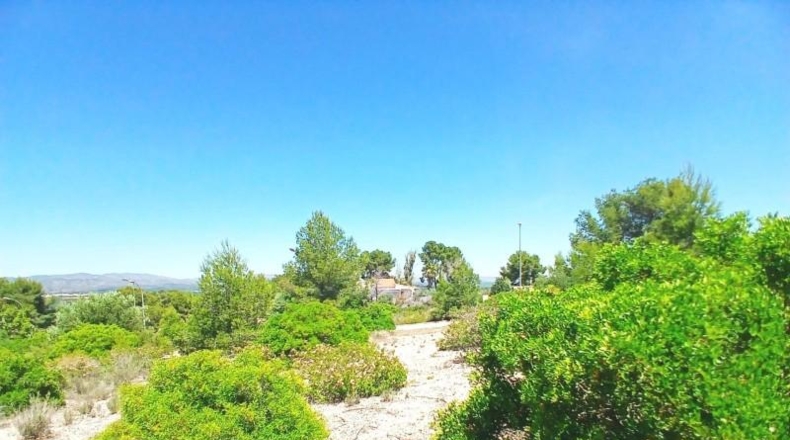 València - Alberic - 2200m2