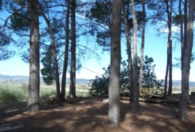 Foto 16
