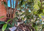 Urban land for sale on España, Cijuela, ref: TR412053 photo