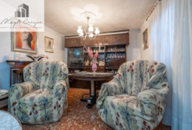 Benalúa de las Villas 236&nbsp;м²