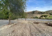Sòl urbà en venda a la España, Alhama de Granada, ref.: TR412055 foto