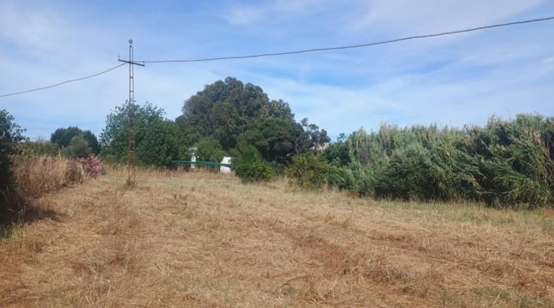 Huelva - Gibraleón - 8000m2