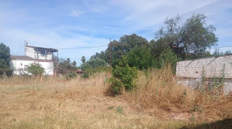 Huelva - Gibraleón - 8000m2