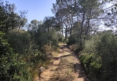 Detached villa with land for sale on España, Algaida, ref: TR412081 photo