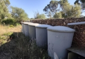Detached villa with land for sale on España, Algaida, ref: TR412081 photo