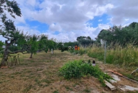 Ontinyent 4547&nbsp;м²