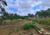 Country house with land for sale on España, Ontinyent, ref: TR412086 photo