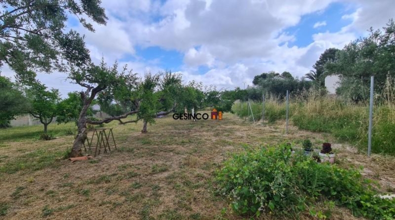 València - Ontinyent - 4547m2