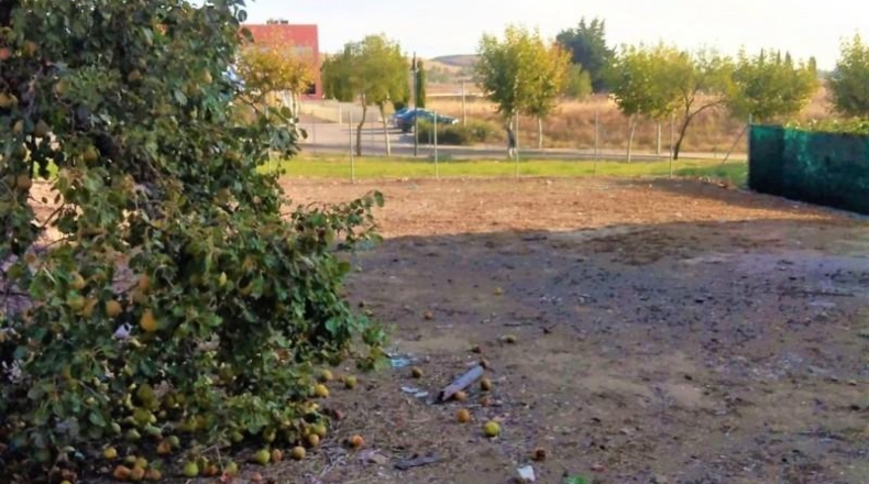 Valladolid - Simancas - 461m2