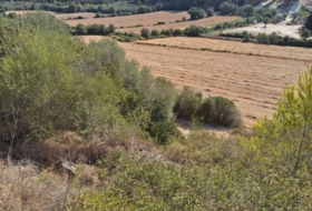 Foto 19