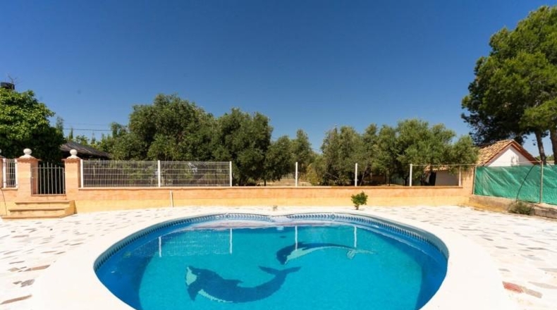 Múrcia - Molina de Segura - 870m2