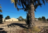 Casa de camp amb terreny en venda a la España, Elx, ref.: TR412129 foto