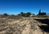 Casa de camp amb terreny en venda a la España, Elx, ref.: TR412129 foto