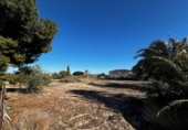 Casa de camp amb terreny en venda a la España, Elx, ref.: TR412129 foto