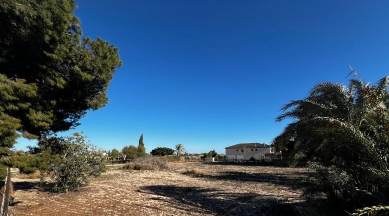 Alicante - Elche - 12200m2