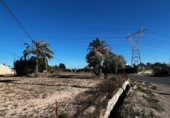 Casa de camp amb terreny en venda a la España, Elx, ref.: TR412129 foto