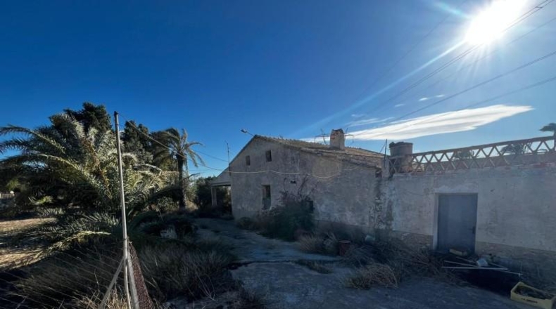 Alicante - Elche - 12200m2