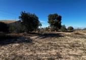 Casa de camp amb terreny en venda a la España, Elx, ref.: TR412129 foto