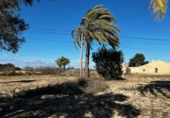 Casa de camp amb terreny en venda a la España, Elx, ref.: TR412129 foto
