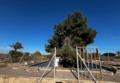 Casa de camp amb terreny en venda a la España, Elx, ref.: TR412129 foto
