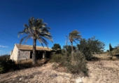 Casa de camp amb terreny en venda a la España, Elx, ref.: TR412129 foto